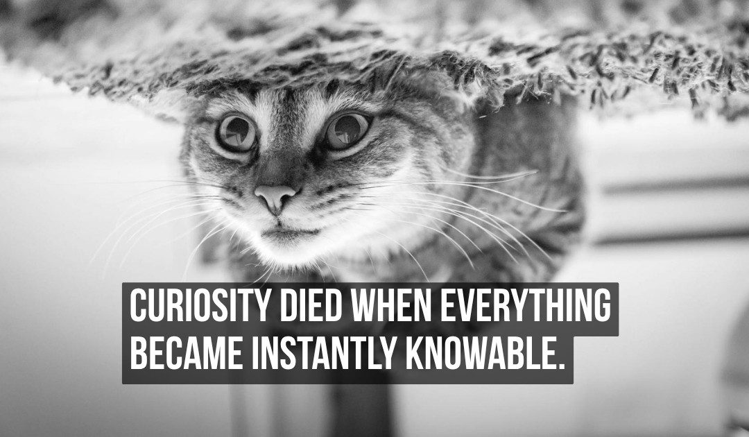 Curiosity Died When Google Made Everything Instantly Knowable and Eliminated the Space Where Wonder Used to Live