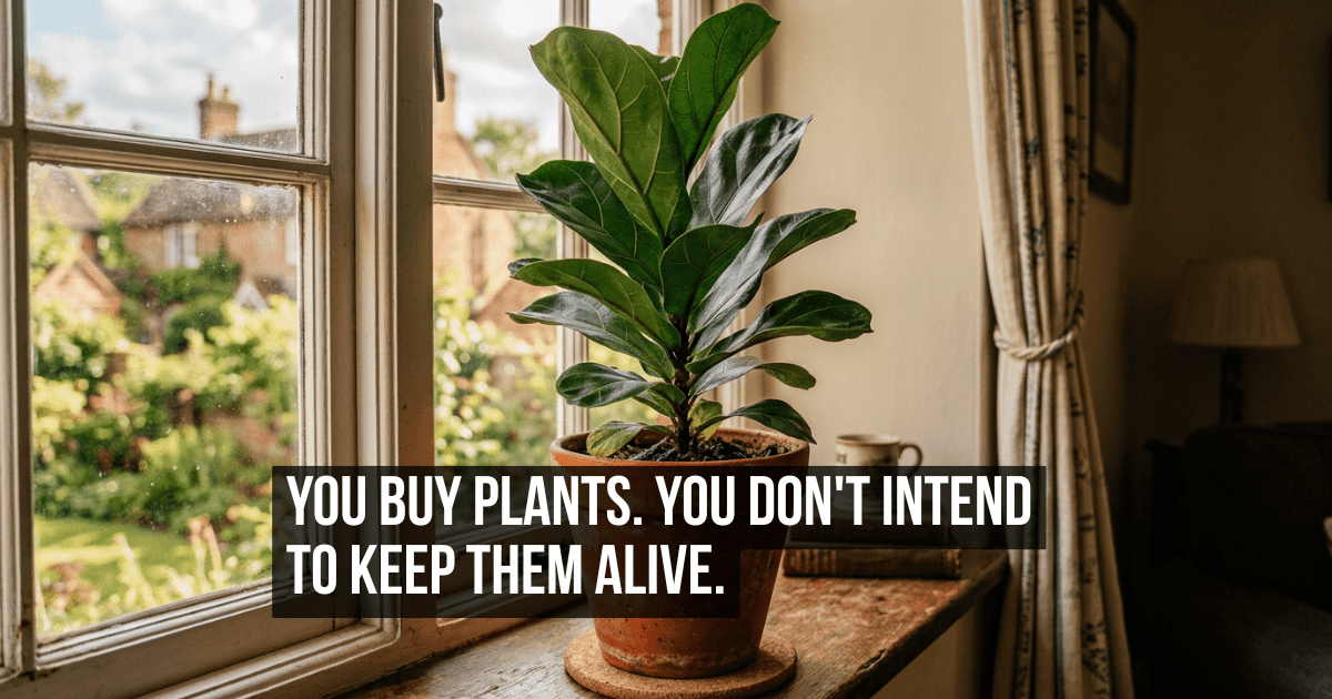 Buying Plants Has Almost Nothing to Do With Wanting to Keep Them Alive