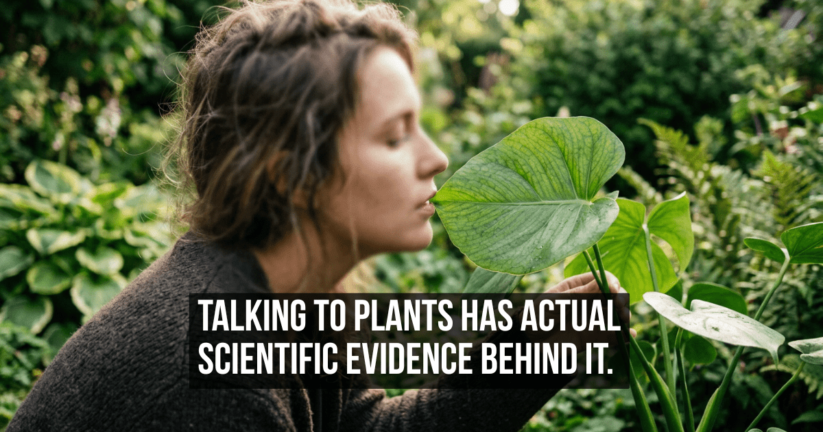 The Scientific Case for Talking to Your Plants That Mainstream Culture Refuses to Take Seriously
