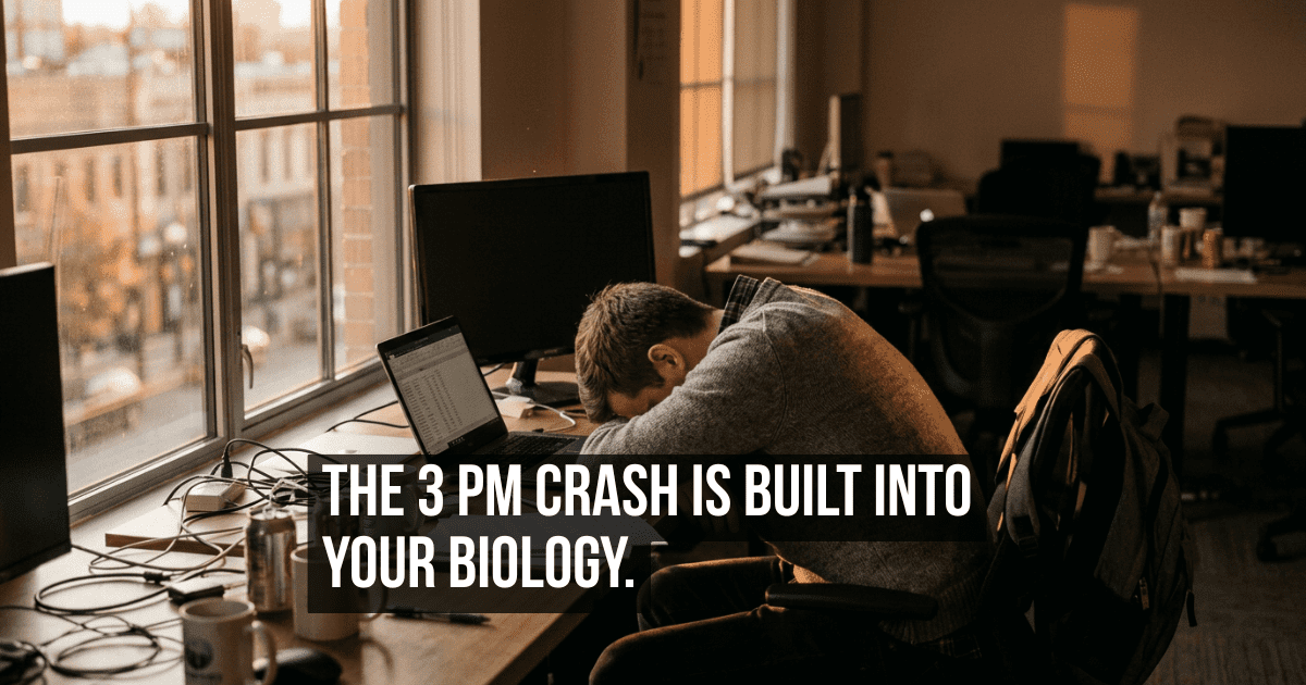 What Your Body Is Actually Doing During the Three O’Clock Energy Crash That Hits Everyone